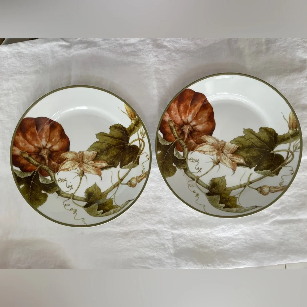 Williams Sonoma Botanical Pumpkin Dinner Plates 11” diameter (Set of 2)